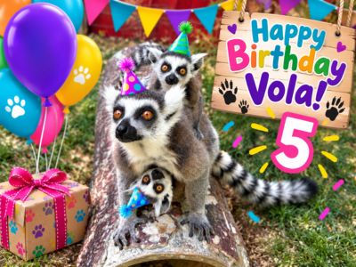 Animal Birthday Celebration at the Zoo | Nashville, Franklin, Murfreesboro TN