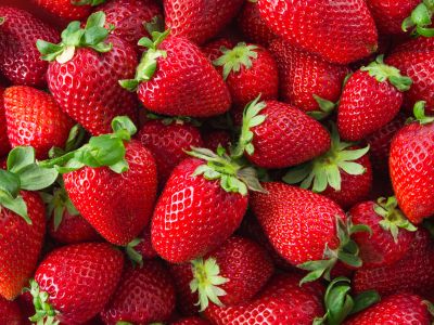 Nashville Pick-Your-Own Strawberries