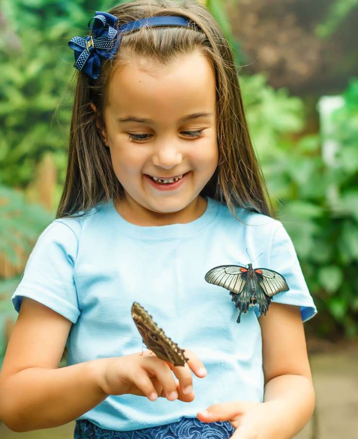 Butterfly Encounters, Butterfly Feeding, Butterfly Releases, Butterfly Farm located outside of Murfreesboro, Franklin, Nashville TN